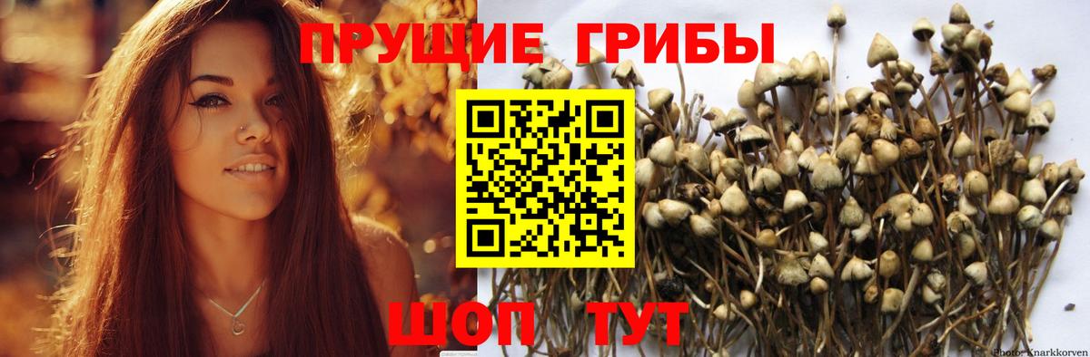 ГАШ  MDMA  МАРИХУАНА  Мефедрон  Белая Калитва  Вход с VPN  КОКАИН  Меф кристаллы 