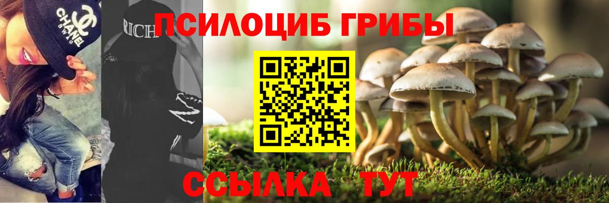 Псилоцибиновые грибы мухоморы  Псилоцибиновые грибы мицелий  Белая Калитва  Вход с VPN 